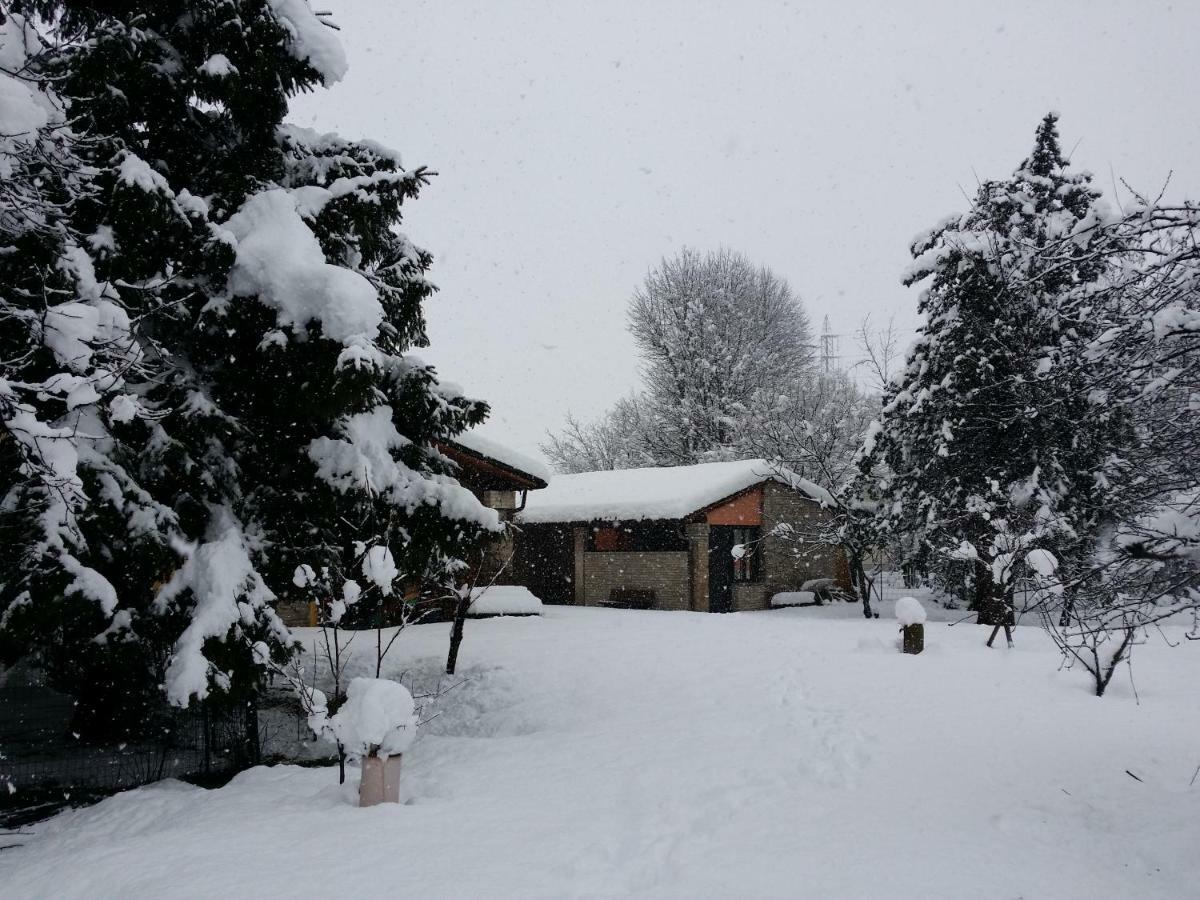 R&B Albero Cavo Parma Bed & Breakfast Dış mekan fotoğraf