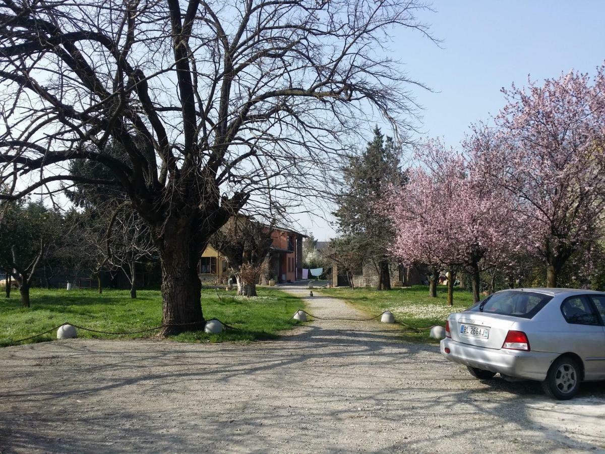 R&B Albero Cavo Parma Bed & Breakfast Dış mekan fotoğraf