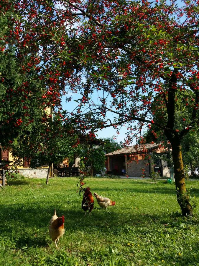 R&B Albero Cavo Parma Bed & Breakfast Dış mekan fotoğraf