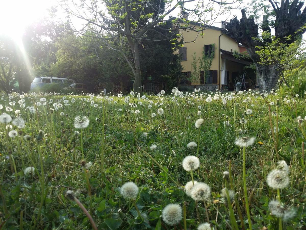R&B Albero Cavo Parma Bed & Breakfast Dış mekan fotoğraf