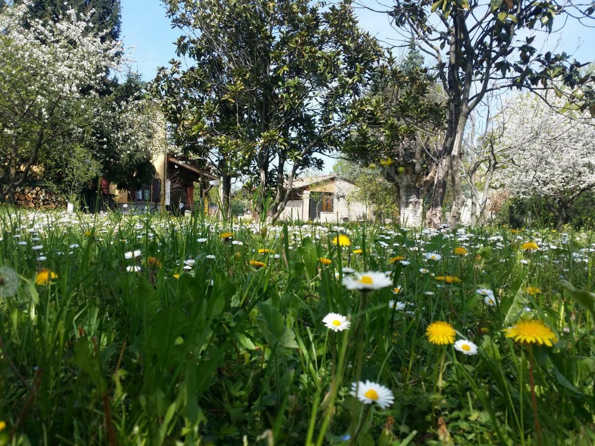R&B Albero Cavo Parma Bed & Breakfast Dış mekan fotoğraf