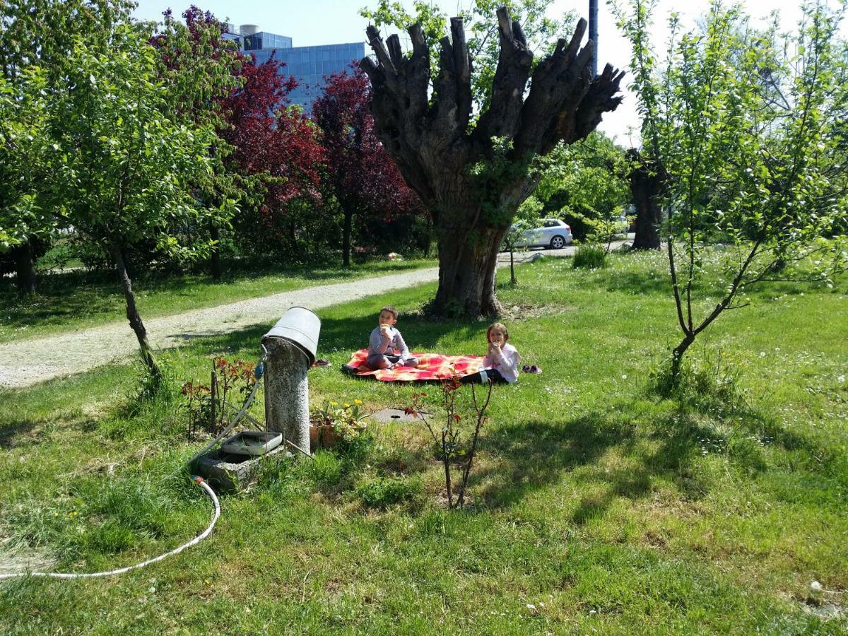 R&B Albero Cavo Parma Bed & Breakfast Dış mekan fotoğraf