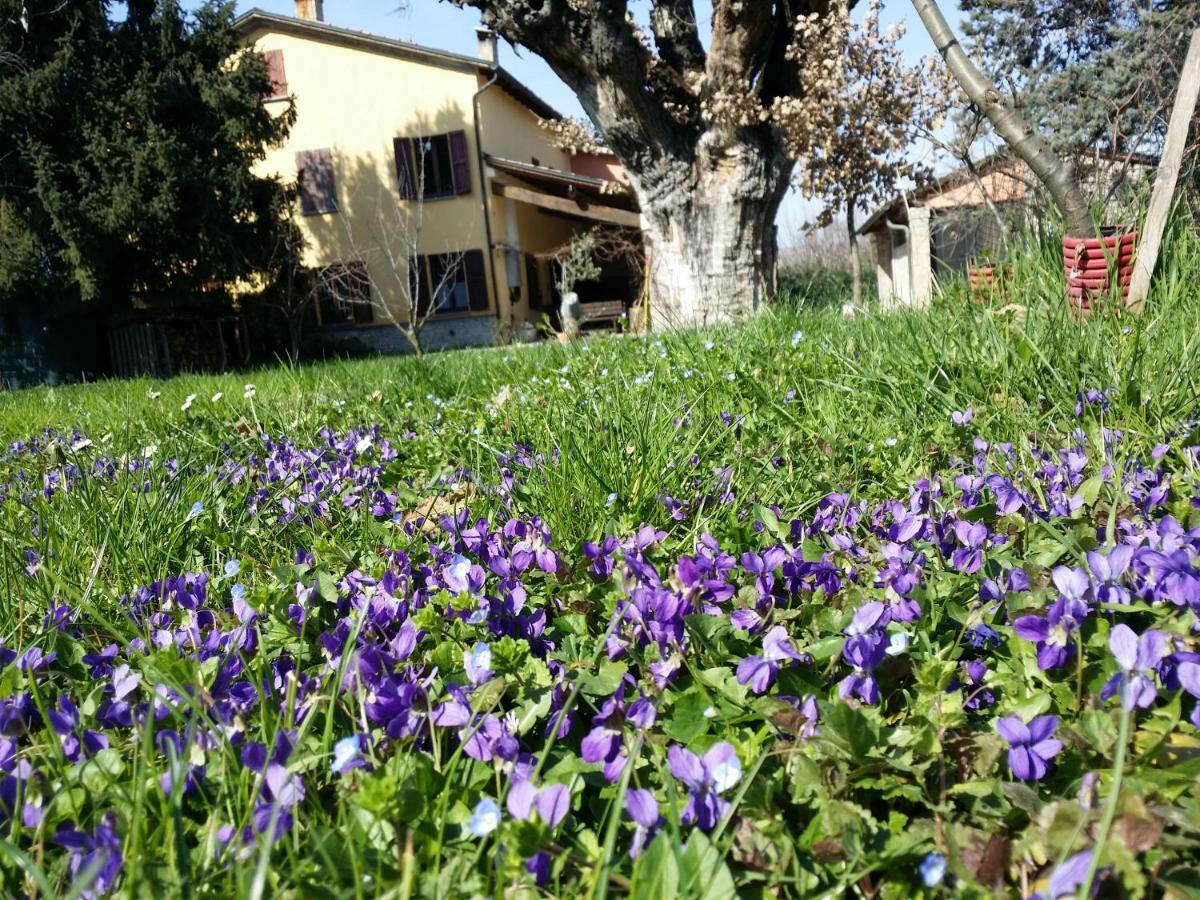 R&B Albero Cavo Parma Bed & Breakfast Dış mekan fotoğraf